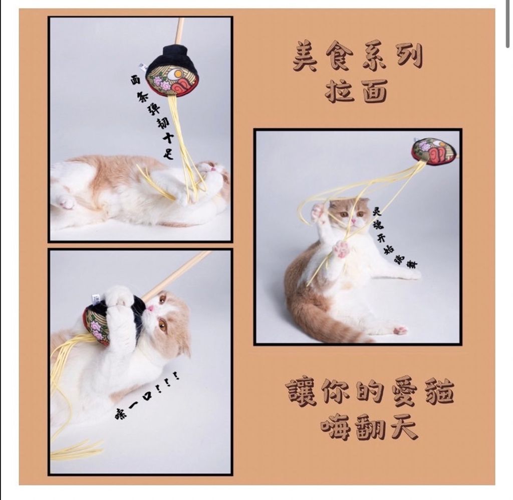 外出箱