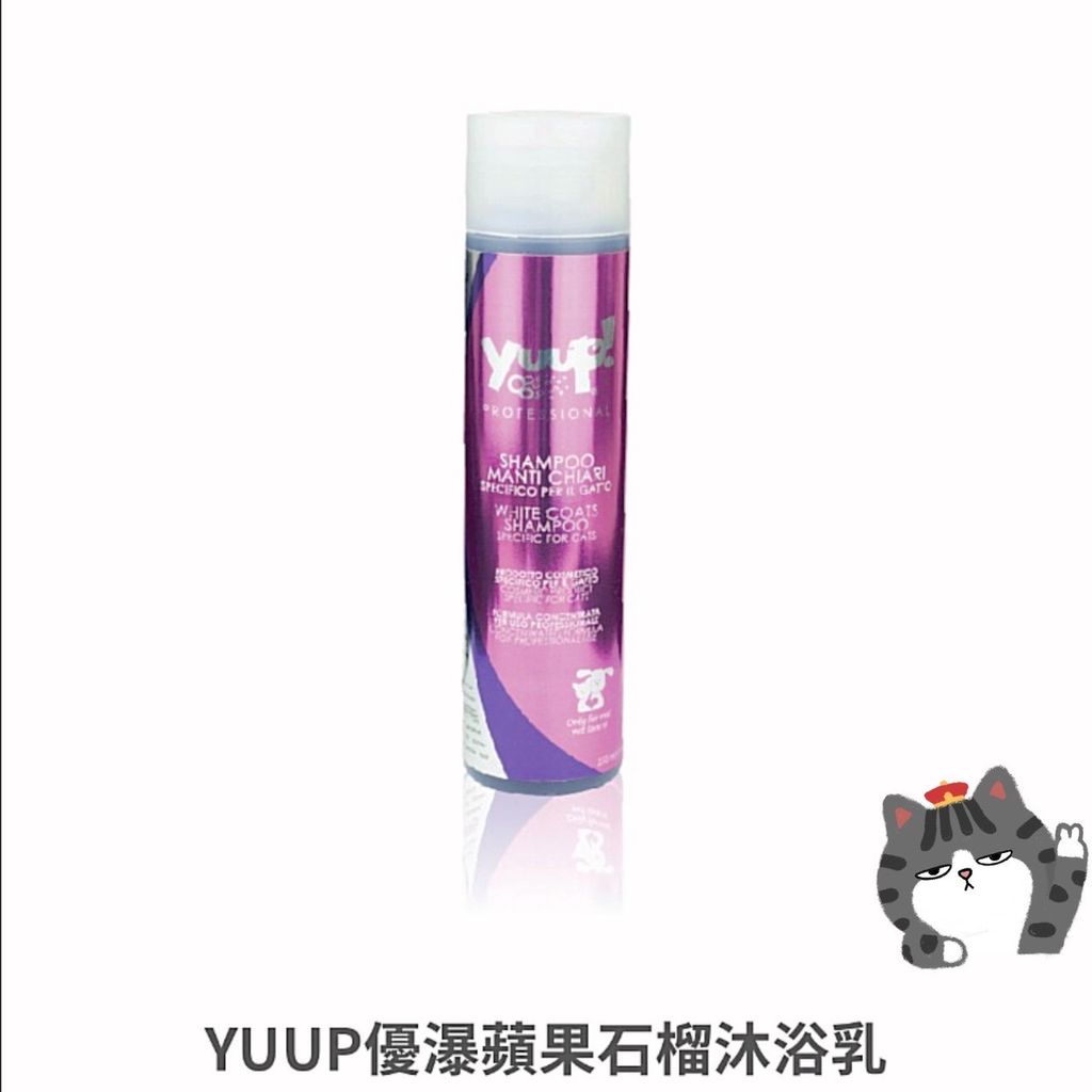 貓砂