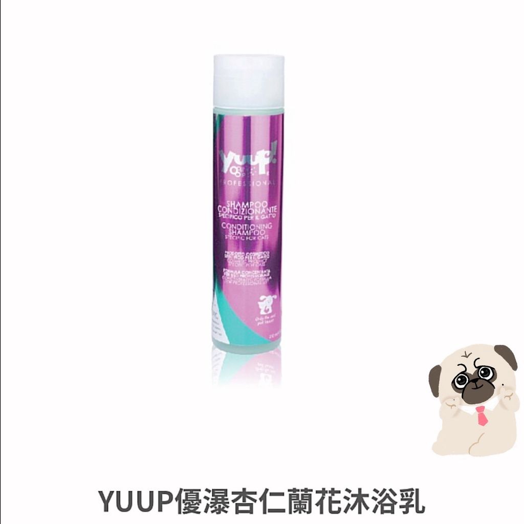 貓砂
