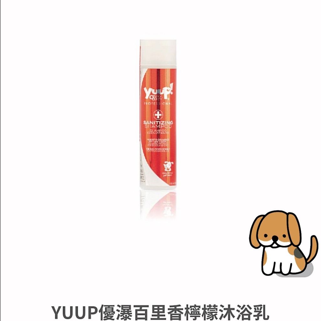 貓砂