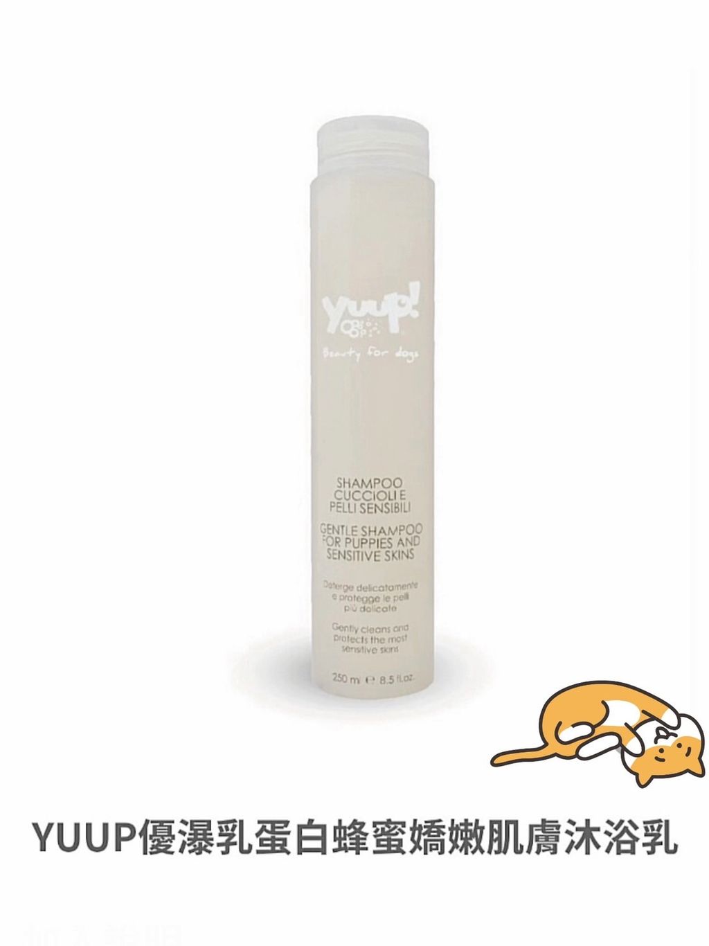 貓砂