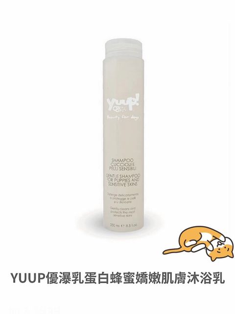 貓砂
