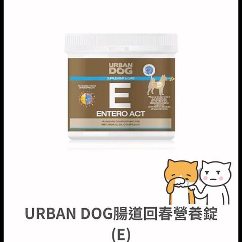貓砂