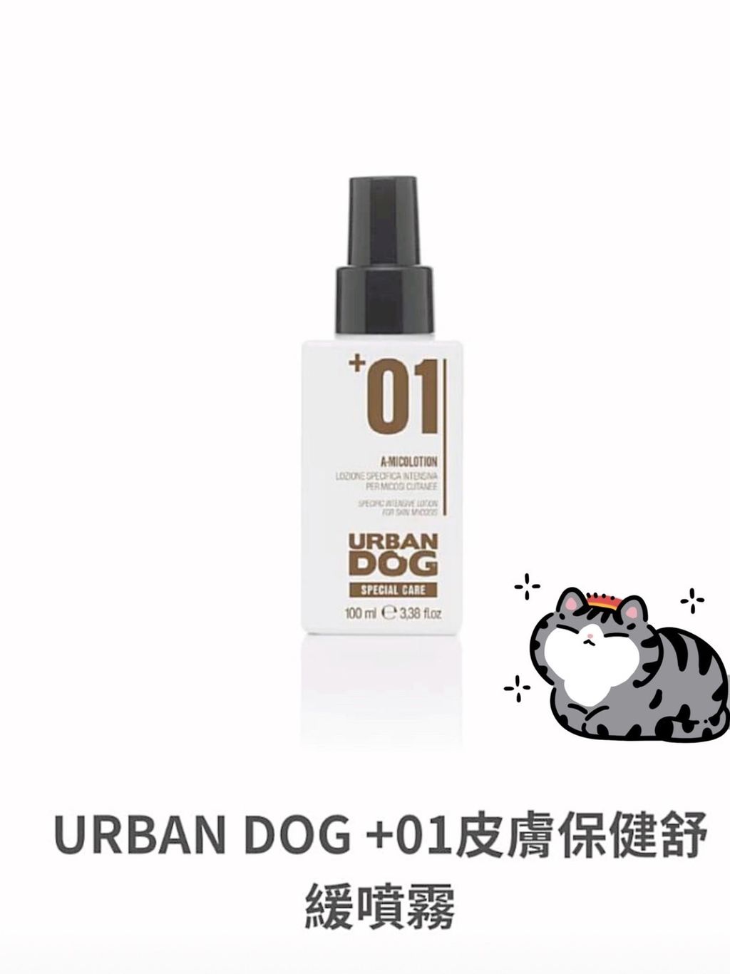 貓砂