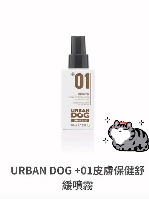 貓砂