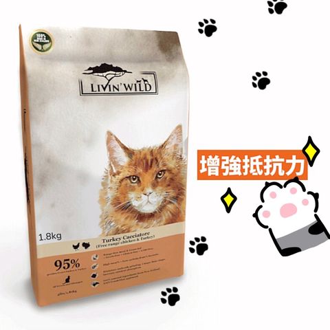 貓砂