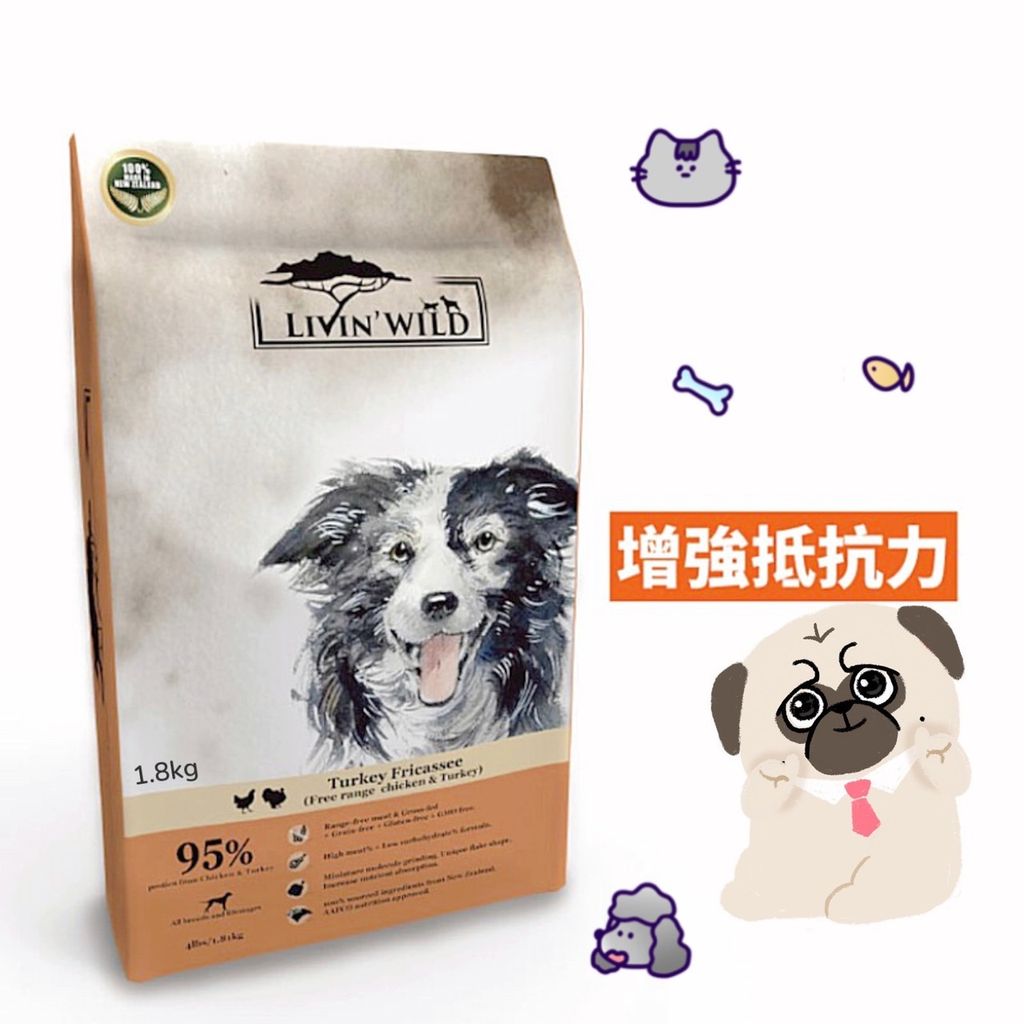 貓砂