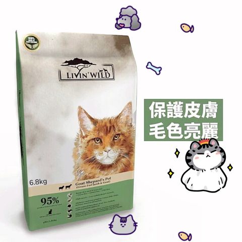 貓砂
