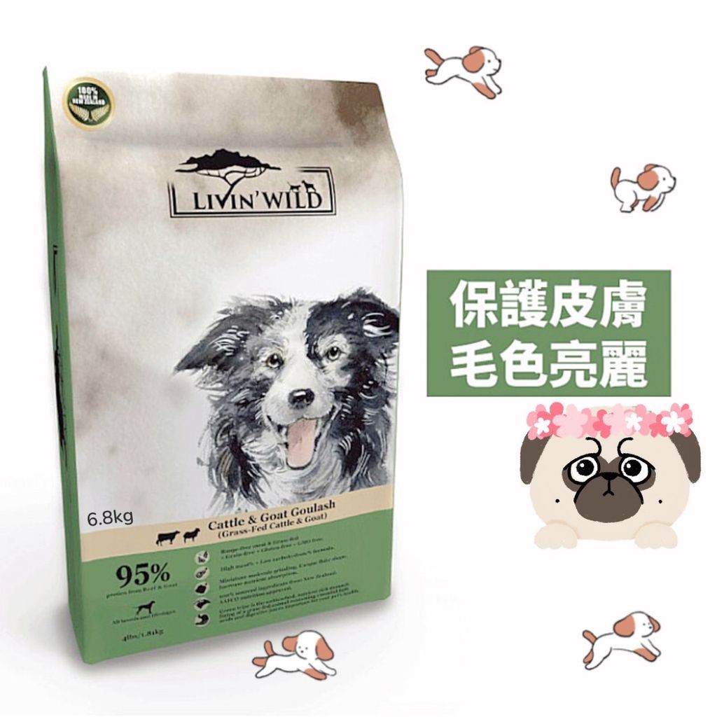 貓砂