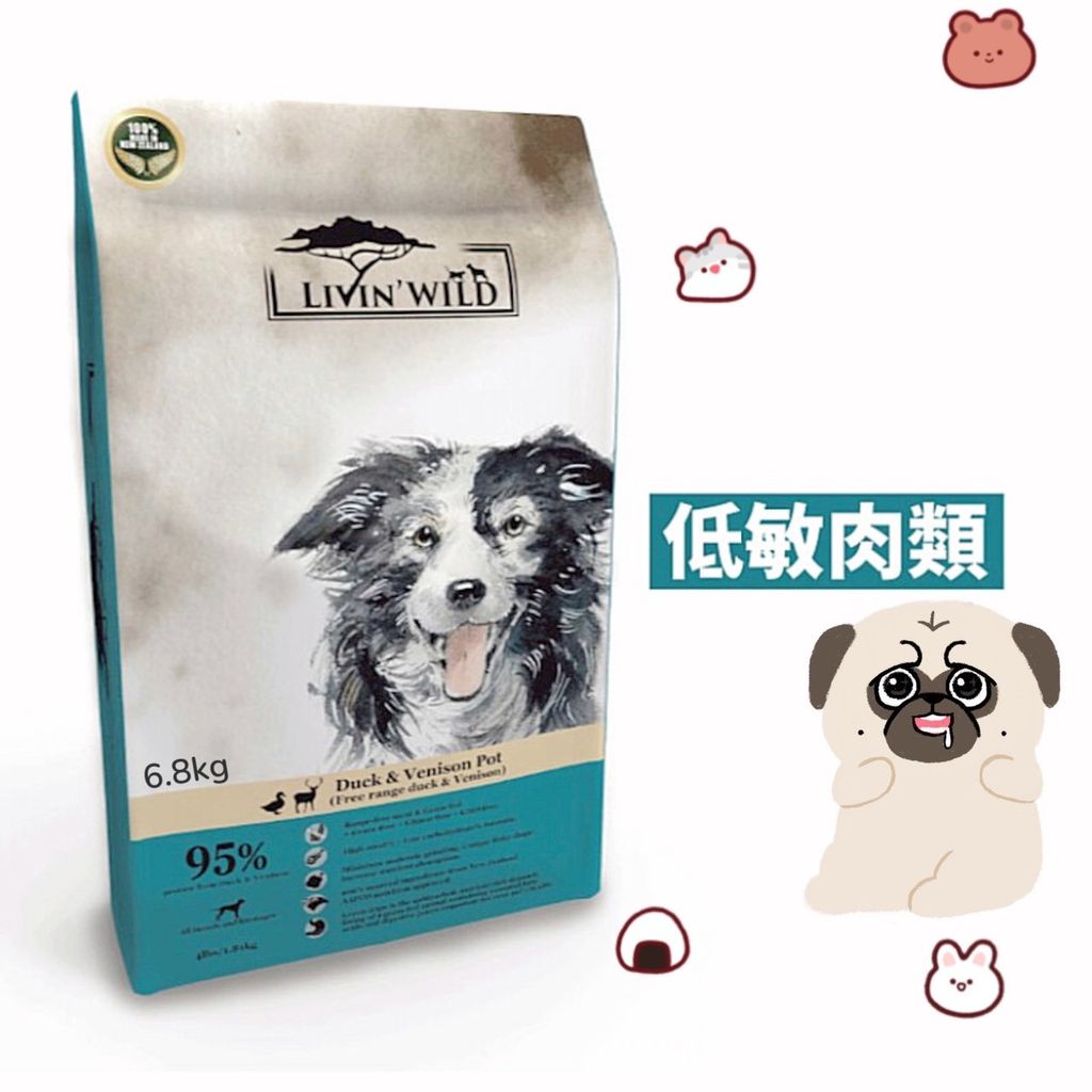 貓砂
