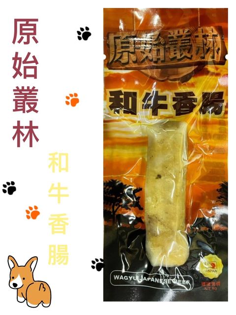 貓砂