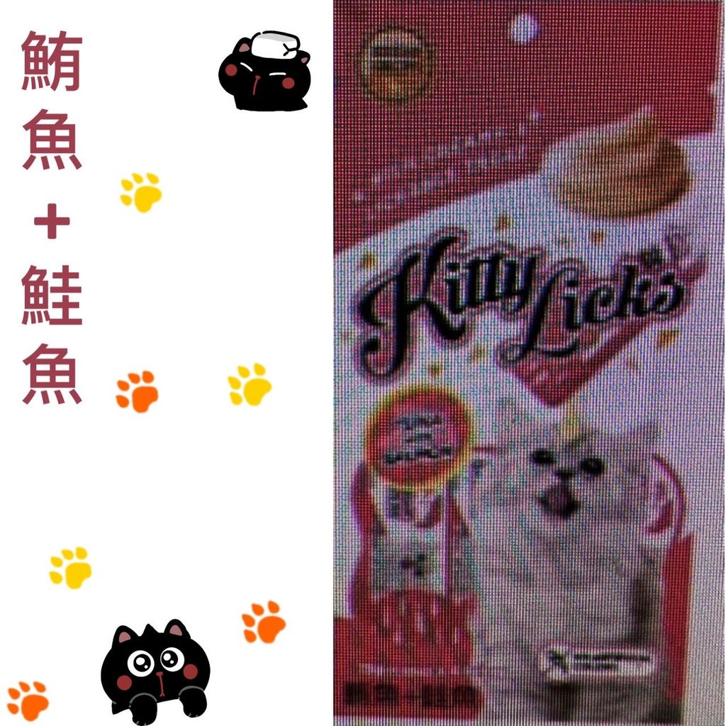 貓砂