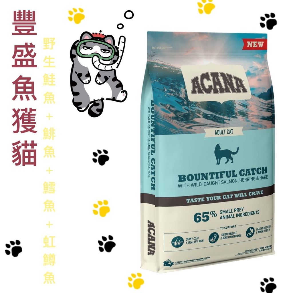 貓砂