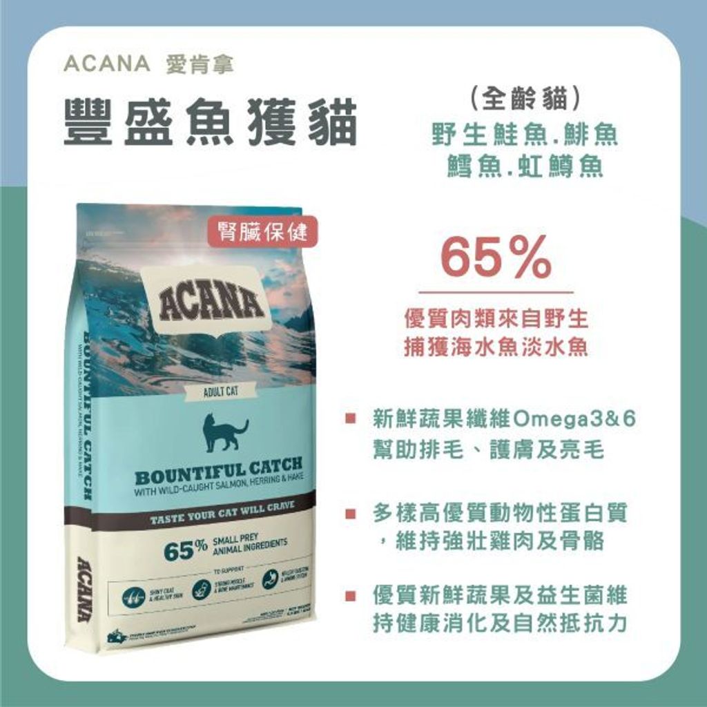 貓砂