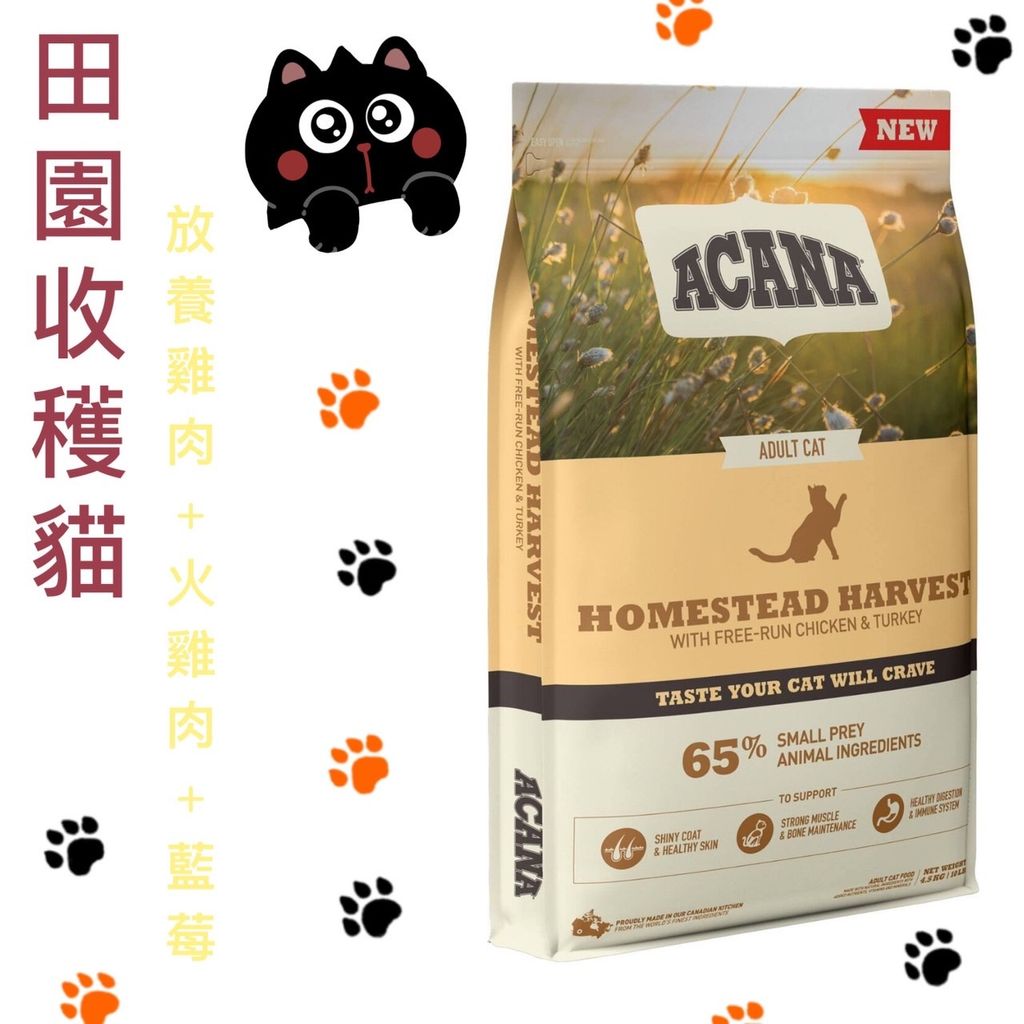 貓砂