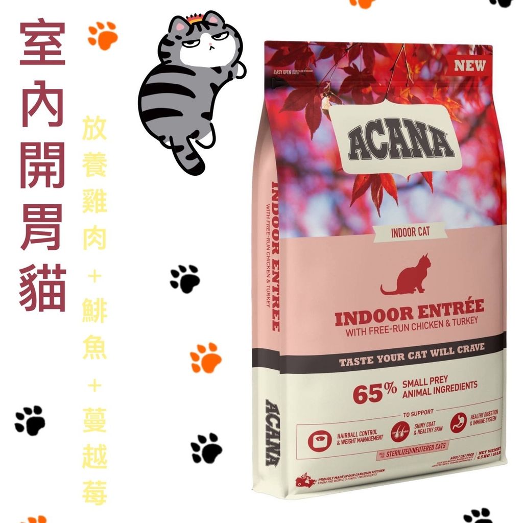 貓砂