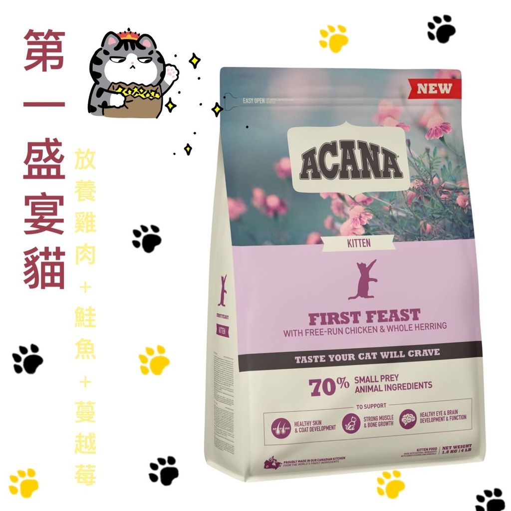 貓砂