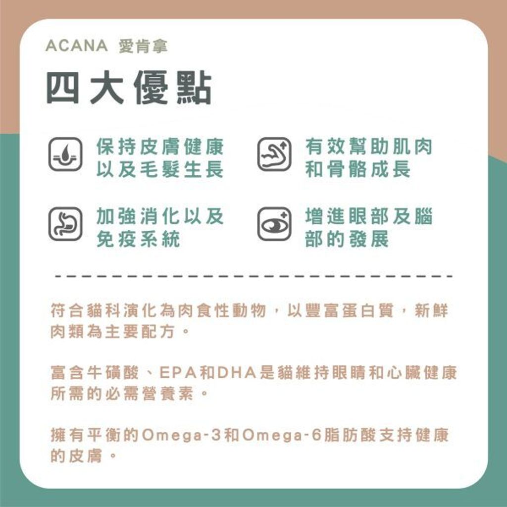貓砂