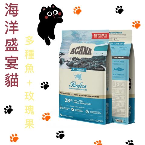 貓砂