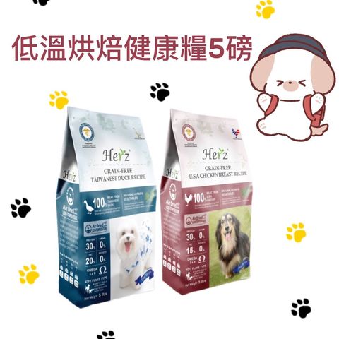貓砂