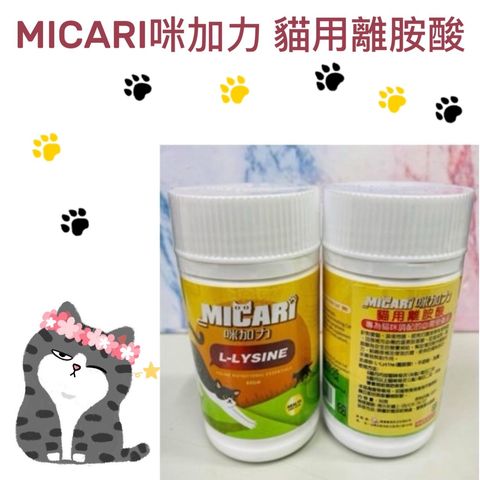 貓砂