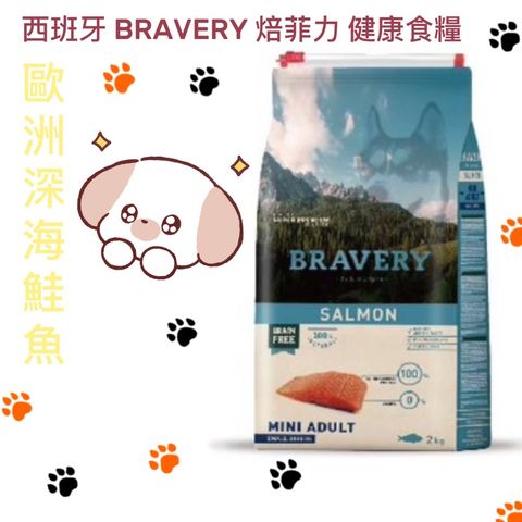 貓砂