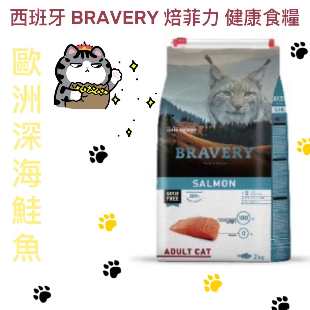 貓砂