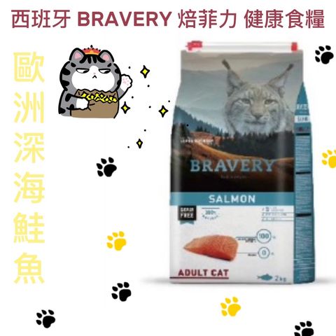 貓砂