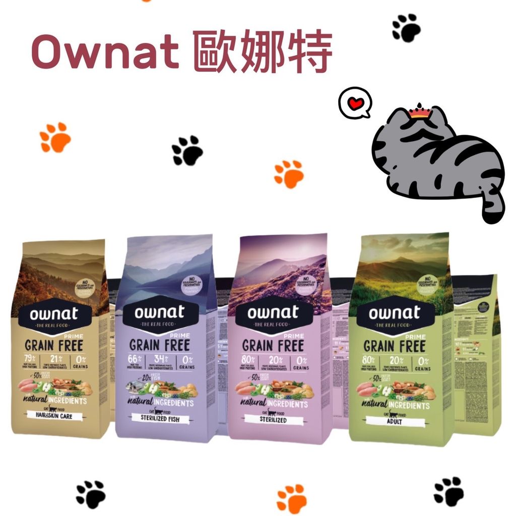 貓砂