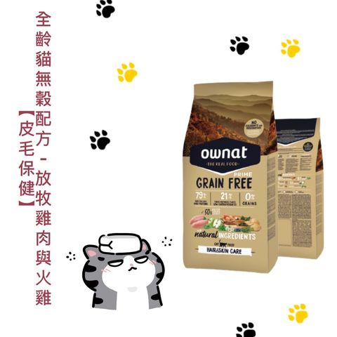 貓砂