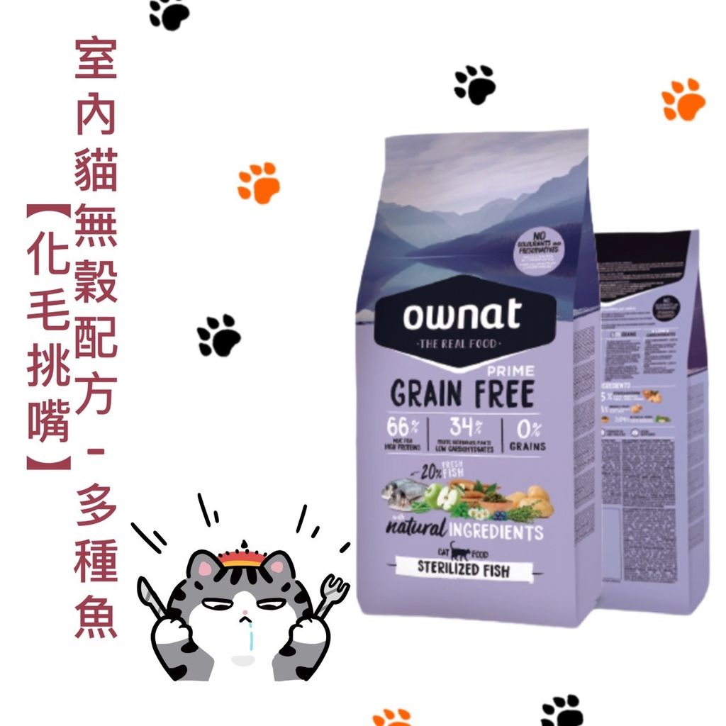 貓砂