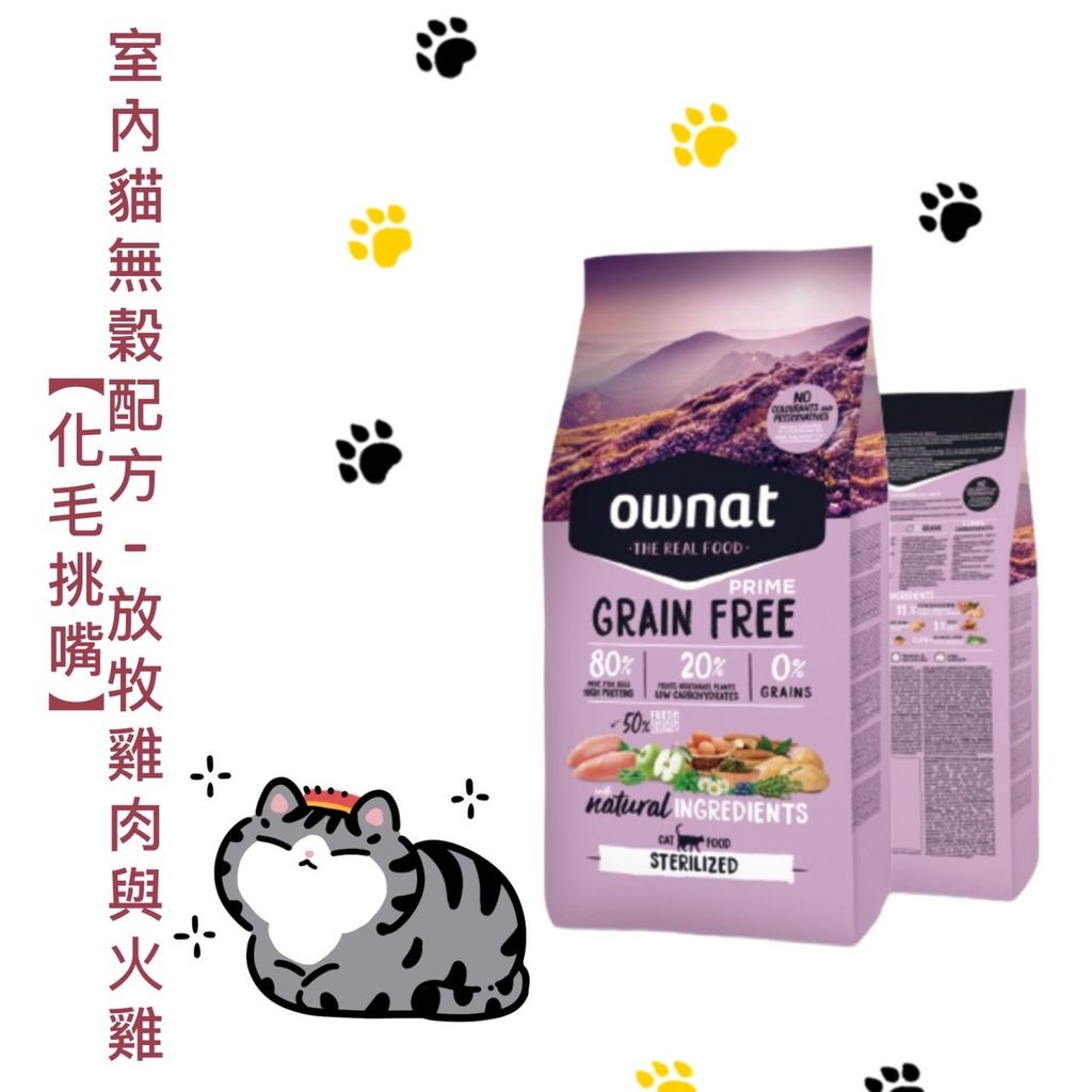 貓砂