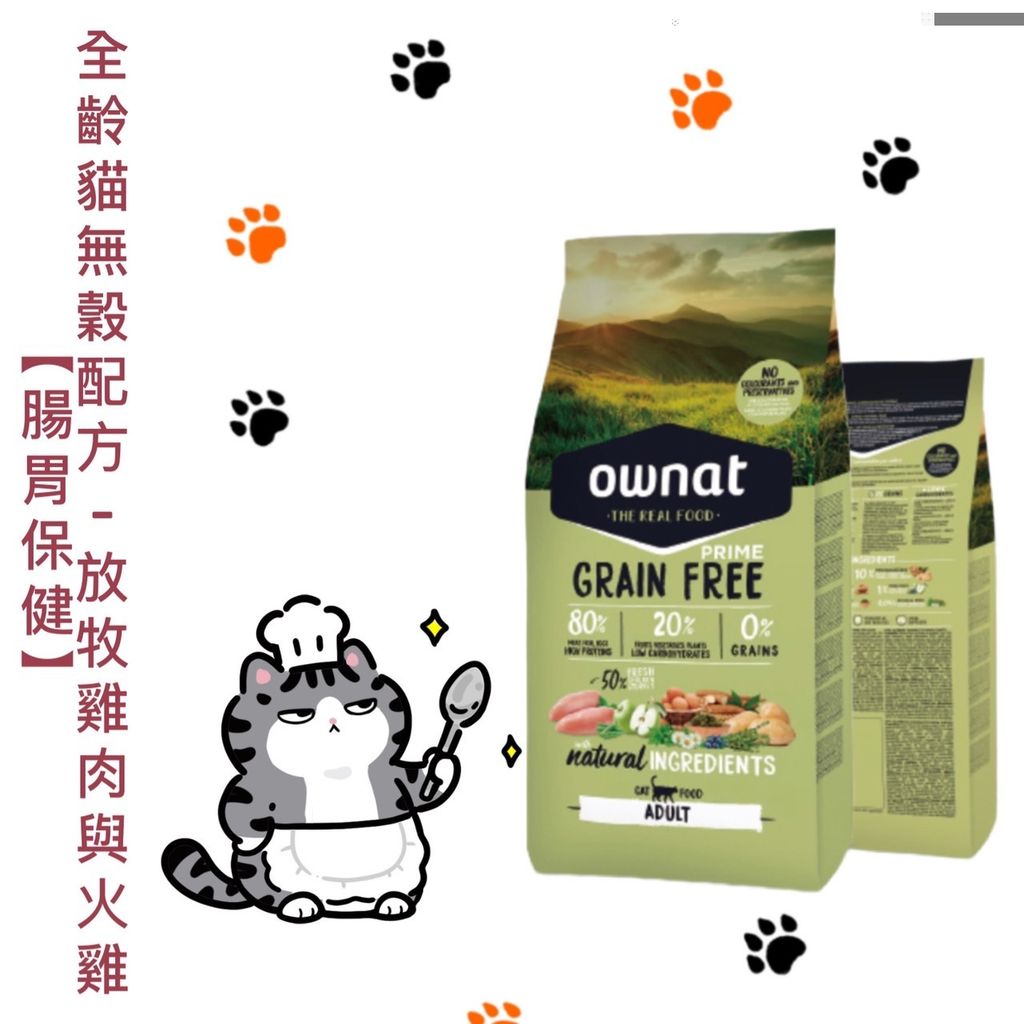貓砂