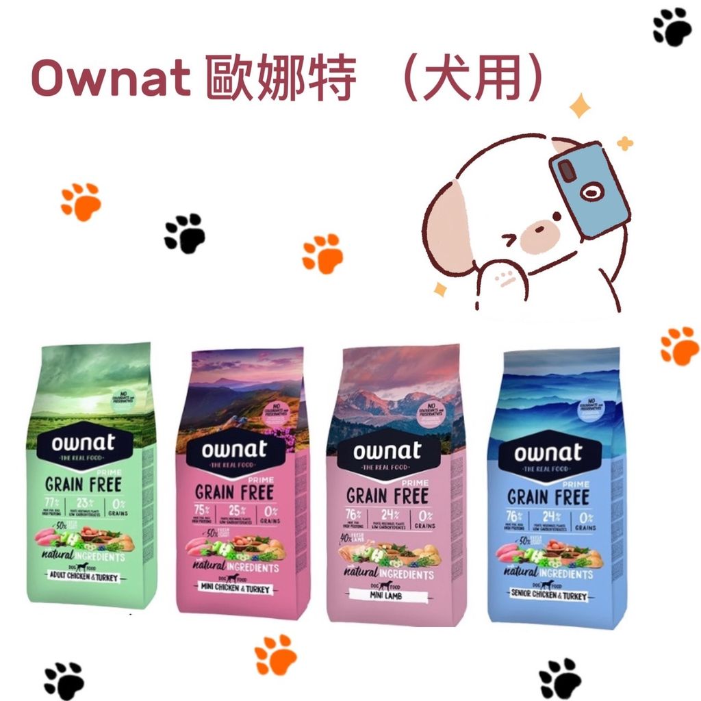 貓砂