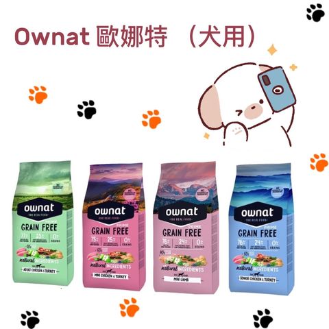 貓砂