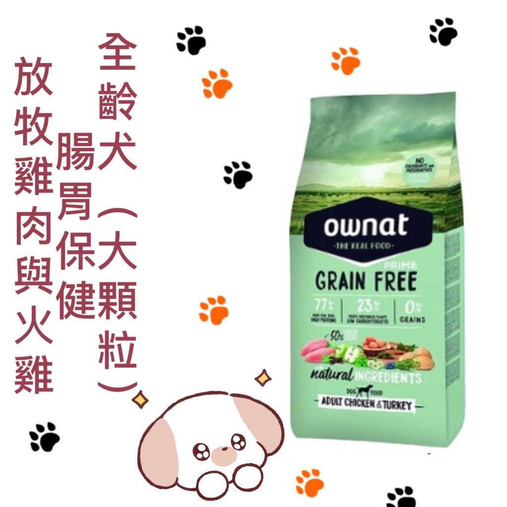 貓砂