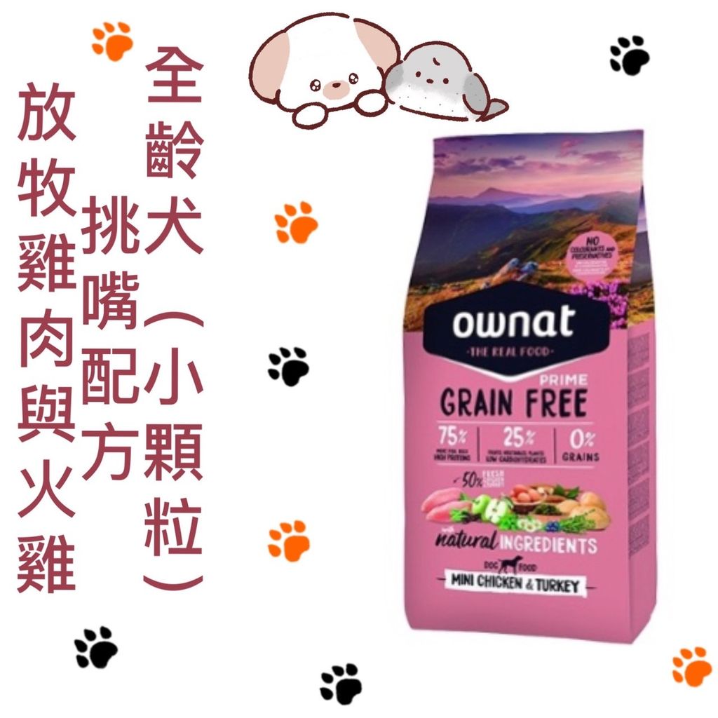 貓砂