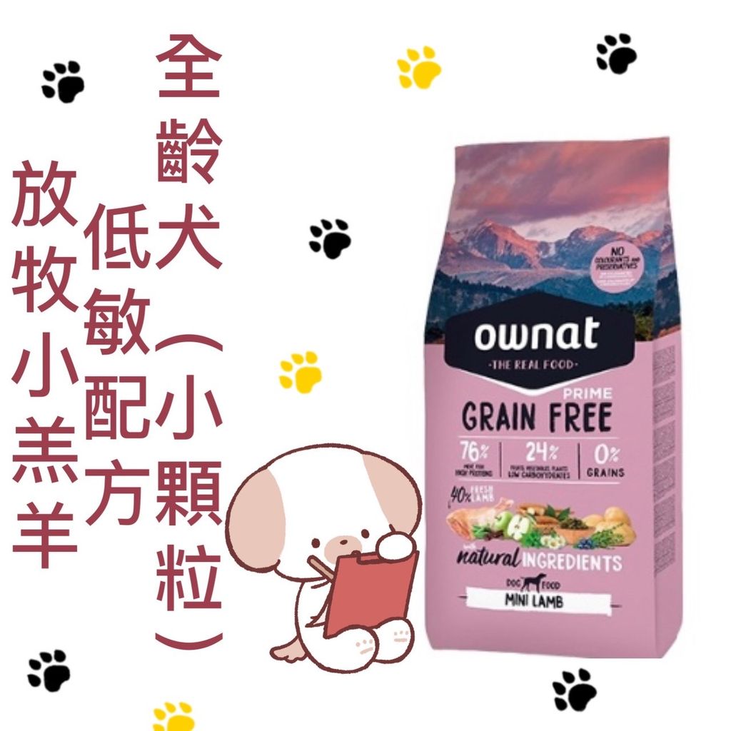 貓砂