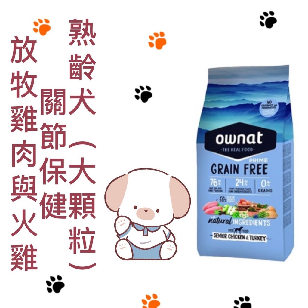 貓砂
