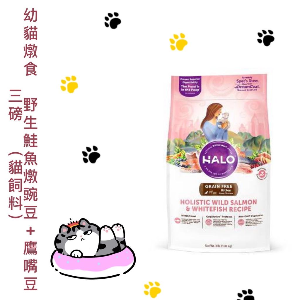 貓砂