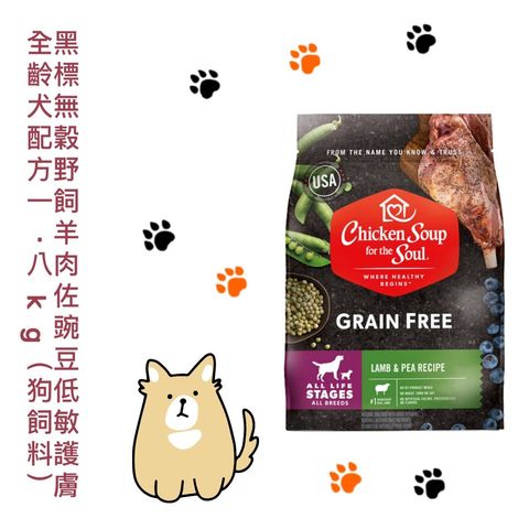 貓砂