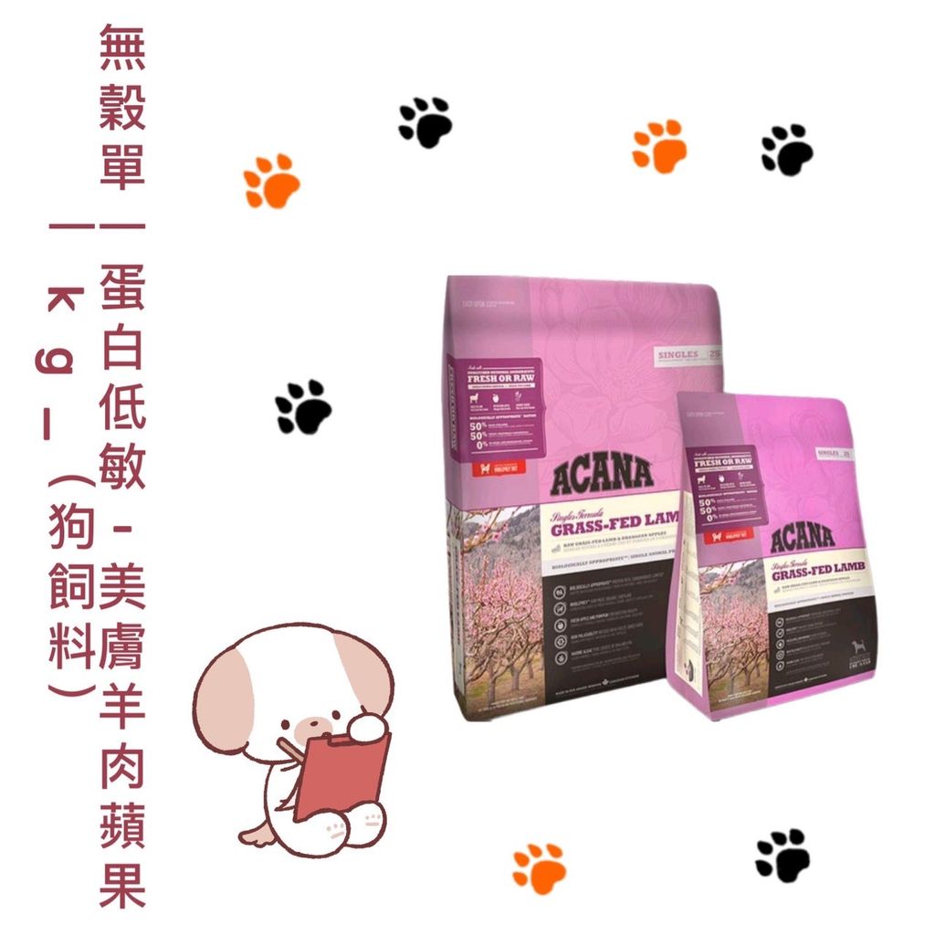 貓砂