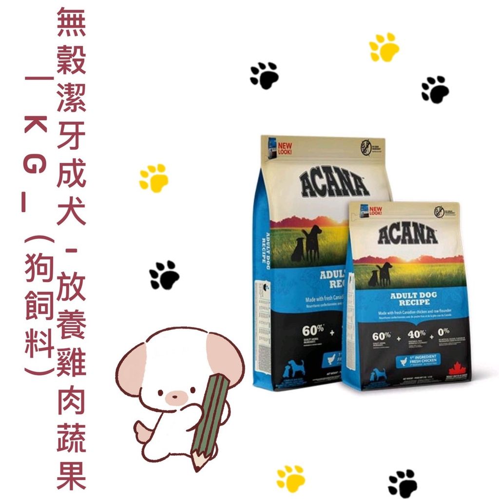 貓砂