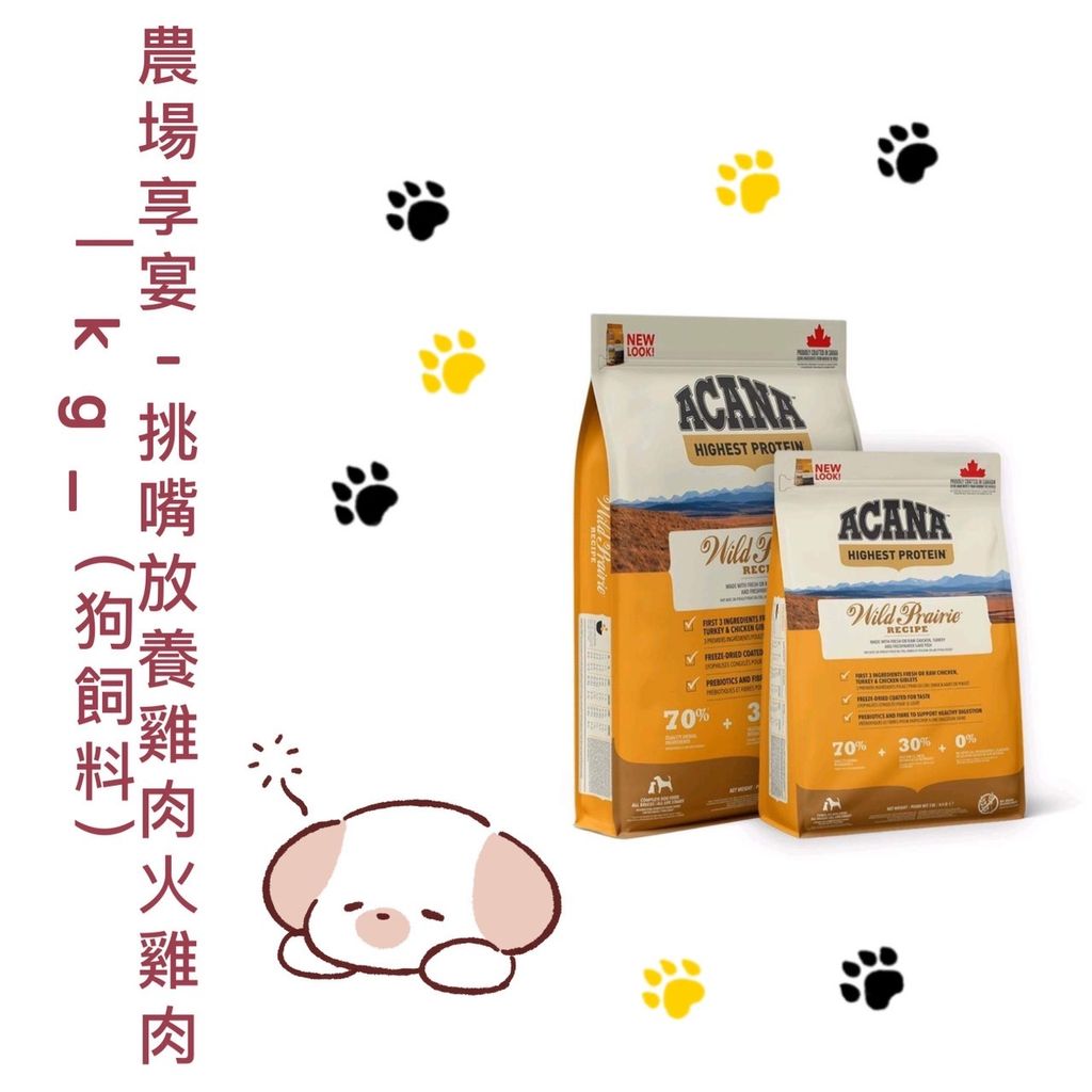 貓砂