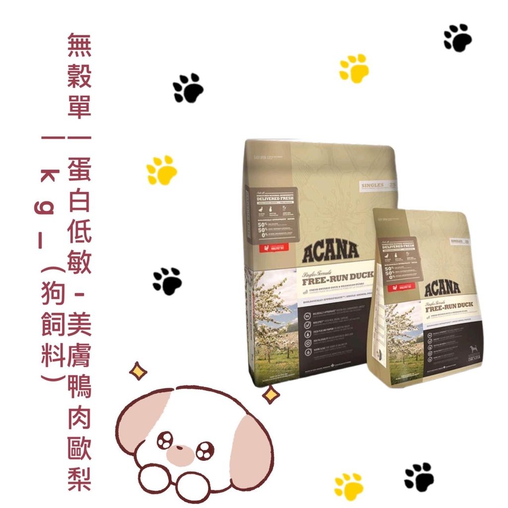 貓砂