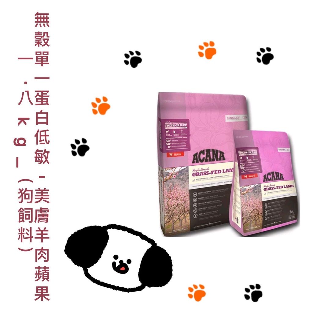 貓砂