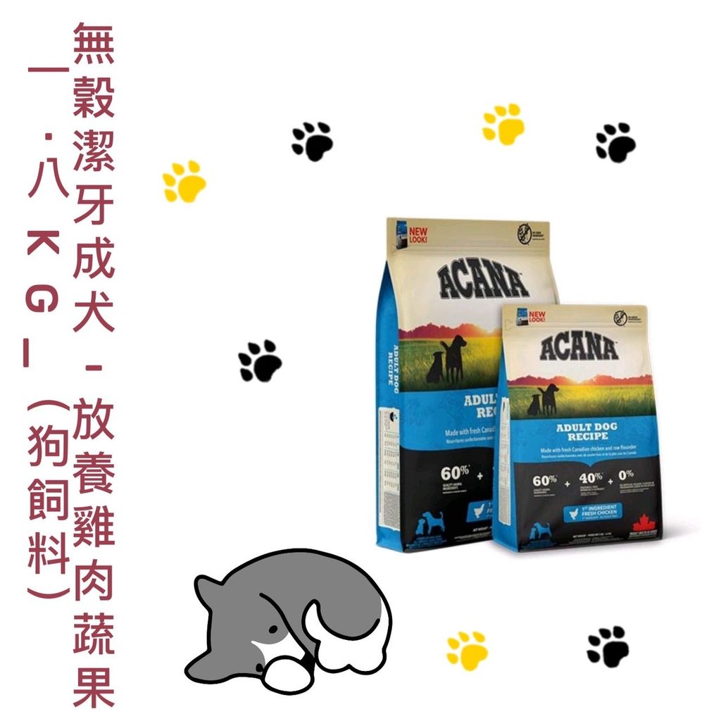 貓砂