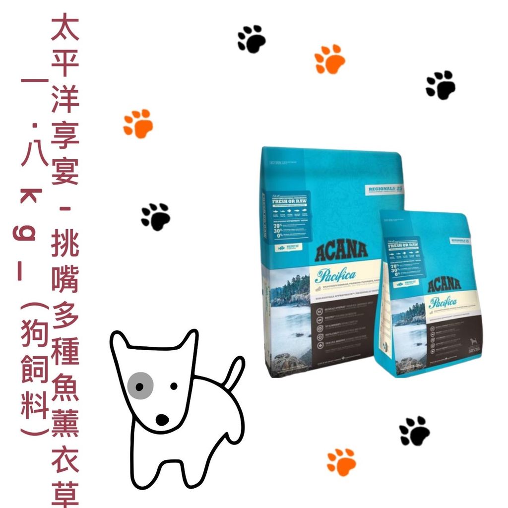 貓砂