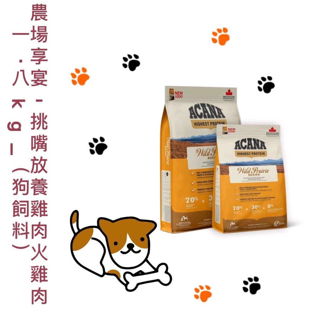 貓砂
