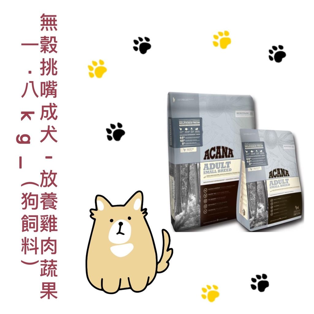 貓砂